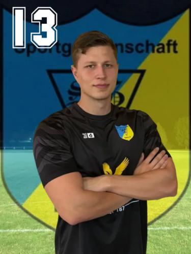 Marius Hotze
