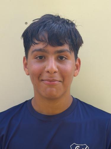 Berat Demir