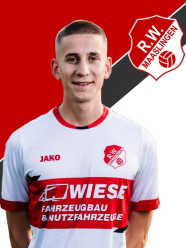 Hannes Schweitzer