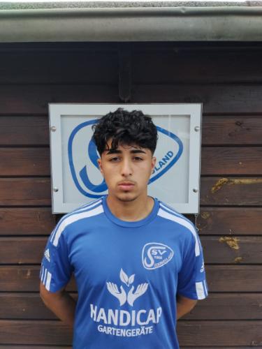 Sahin Topcu