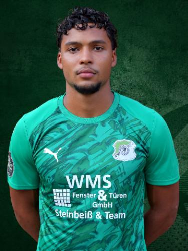 Yan Marcos Friessner Montas