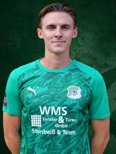 Henrik Scheibe