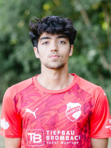 Shaheen Haidari