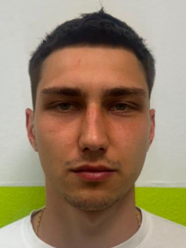 Mykhailo Laryn
