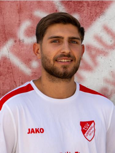 Damjan Bodiroza