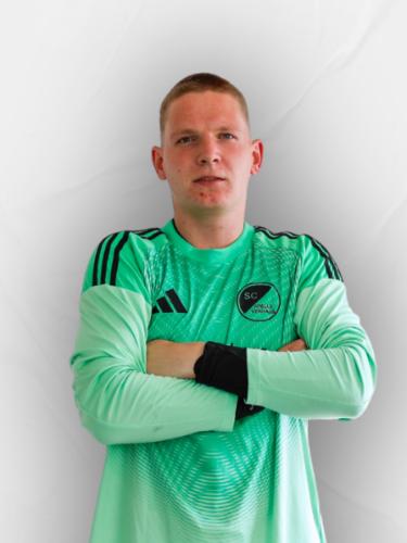 Hannes Jungehüser