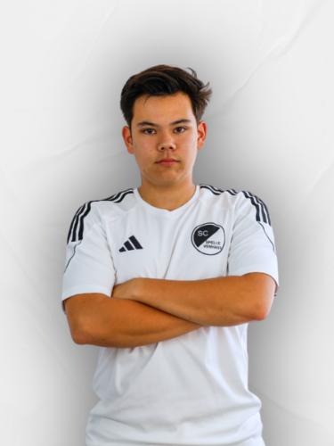 Levi Mau van Trinh