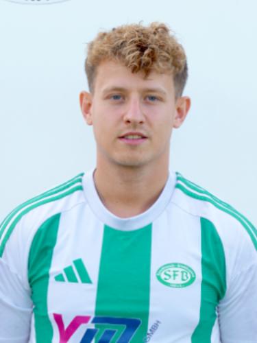 Justin Theelen