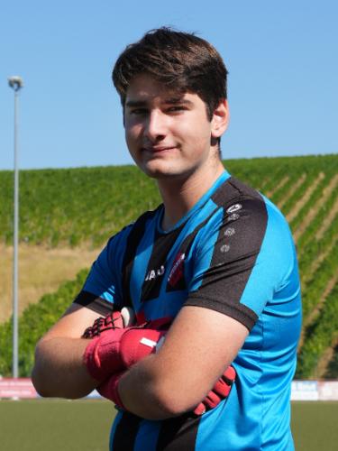 Konstantin Krieg