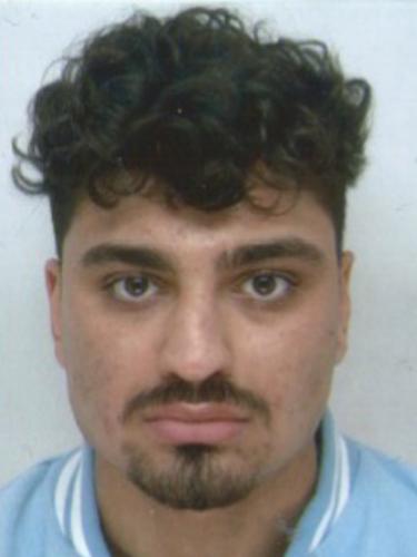 Hamza Cayli