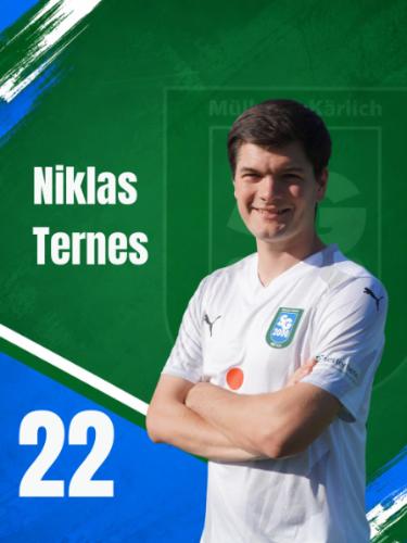 Niklas Ternes