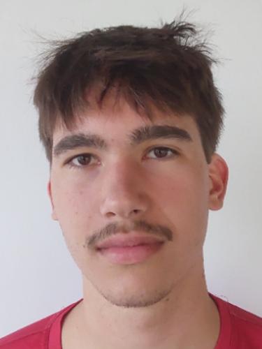 Niko Grosser