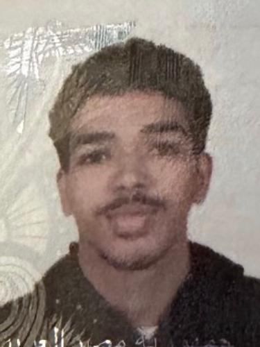 Abdelmohsen Ragab Mohamed Hamed