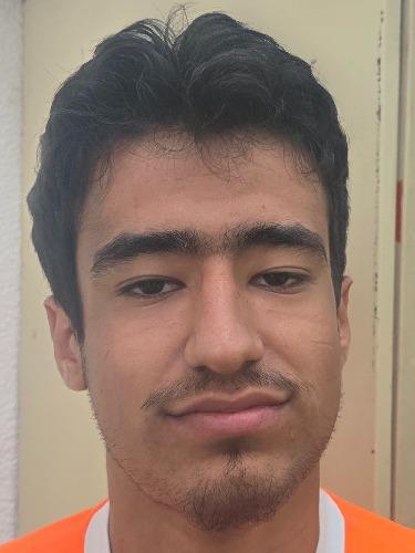 Hassan Mehdi