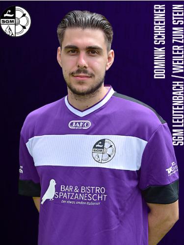 Dominik Schreiner