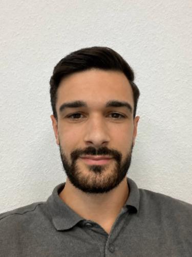 Veselin Vulicevic
