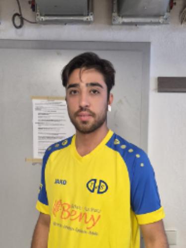 Sajad Hasani