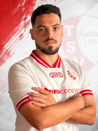 Miguel Angelo Ferreira Mauricio