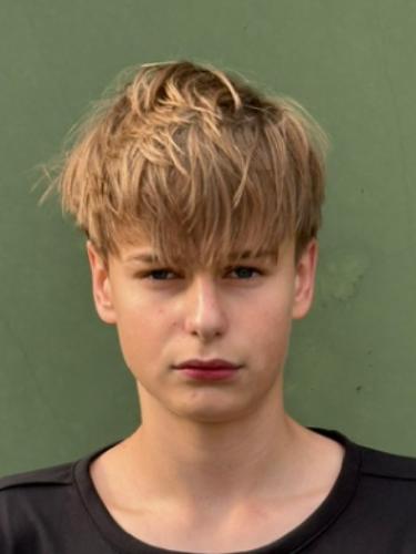 Henri Drieling