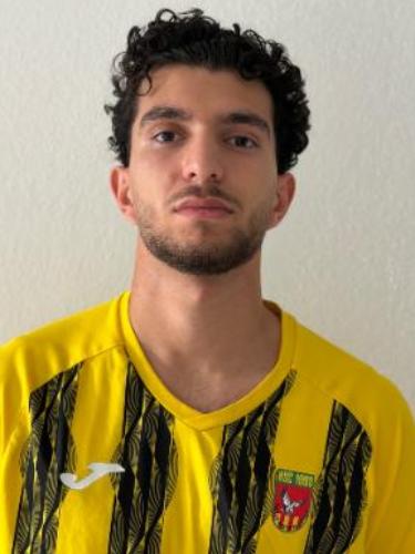 Aykan Cicek
