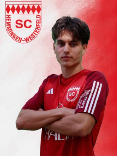 Semih Altiparmak