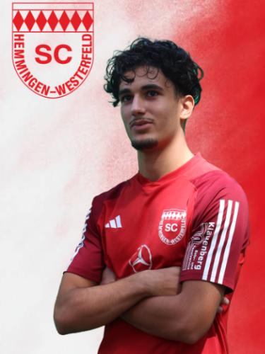Jamil El-Wayss