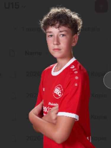 Milan Danzeisen