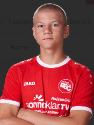 Niklas Maltring