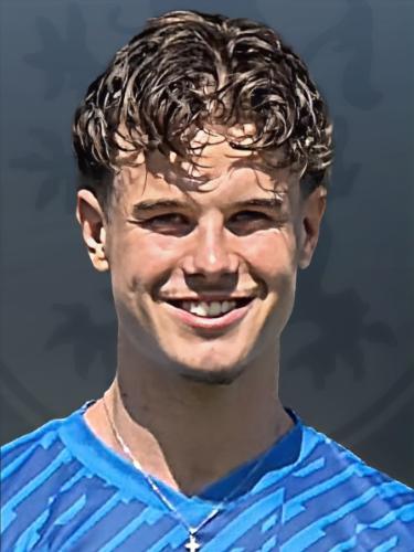 Henri Dietz