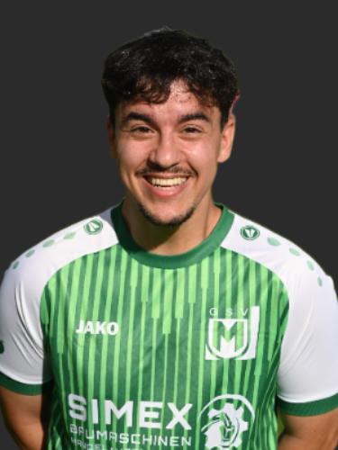 Tarek Bahiani