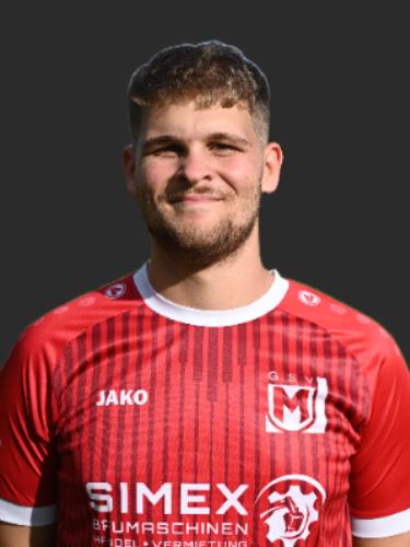 Henrik Mertens