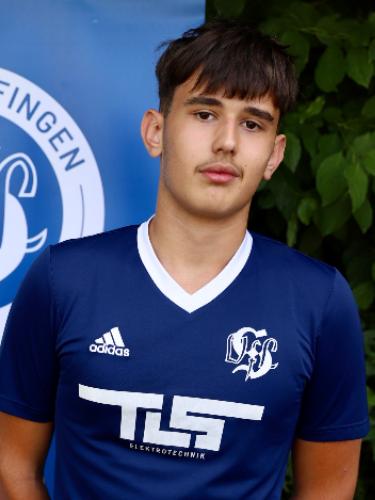 Sanih Hodzic