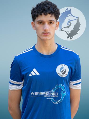 Mehmet Ali Algül