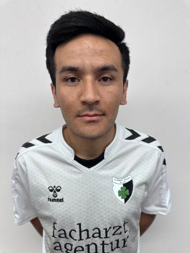 Mohammad Hossain Jafari