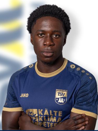 Franklin Anarfi Opoku-Mensah