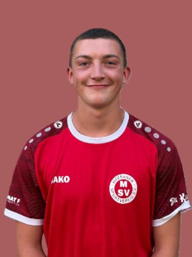 Leo Friedrich