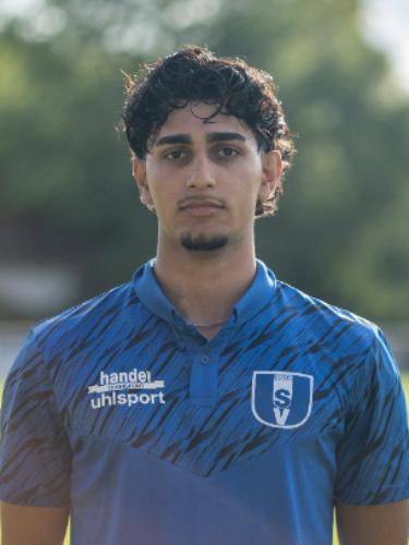 Mohammad Ramish Alizayi