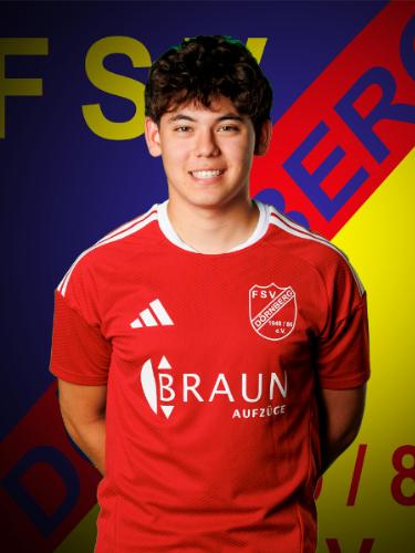 Roman Schaumburg