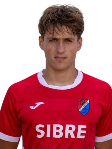 Amin Husovic