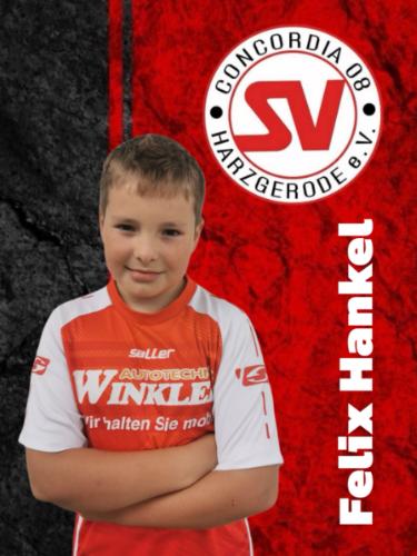 Felix Hankel
