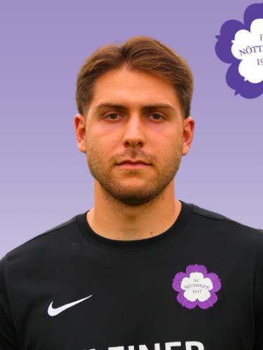 David Mitrovic