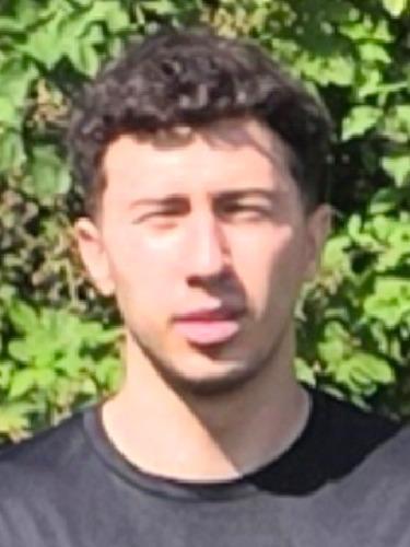 Paul Deleanu