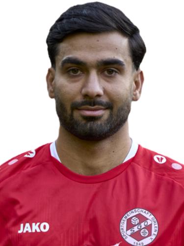 Alireza Mojahedi