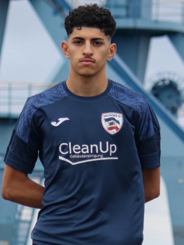 Mohammad Ilja Jahedi Kargar