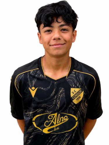Milan Felix Schneekloth