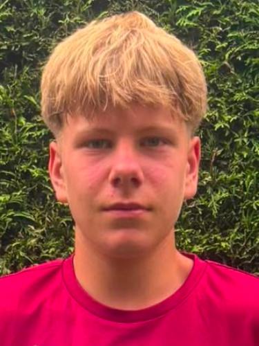 Willi Burmeister