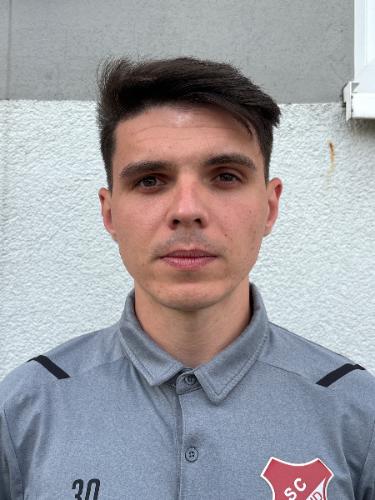 Alexandru-Nicolae Covit