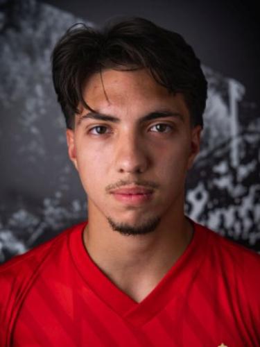 Denis Bajraktar