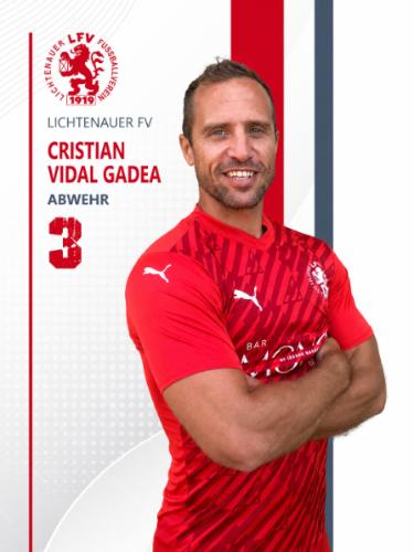 Cristian Vidal Gadea