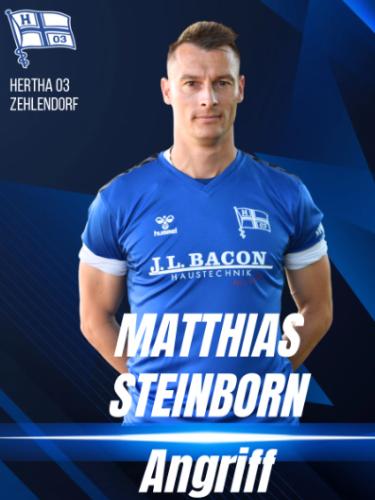 Matthias Steinborn